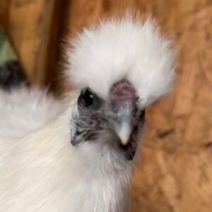 Fluff