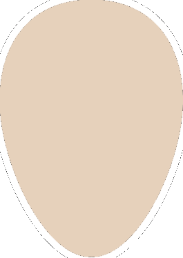 Light_brown Egg